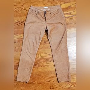 Carve designs brown corduroy size 6 pants EUC